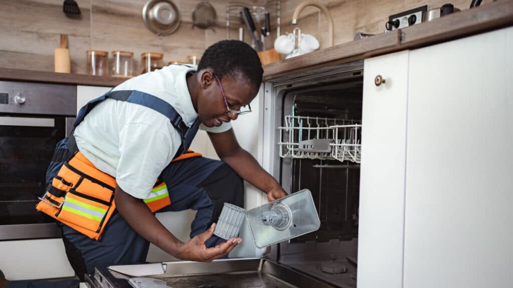 Removing and cleaning dishwasher filter to prevent mineral buildup