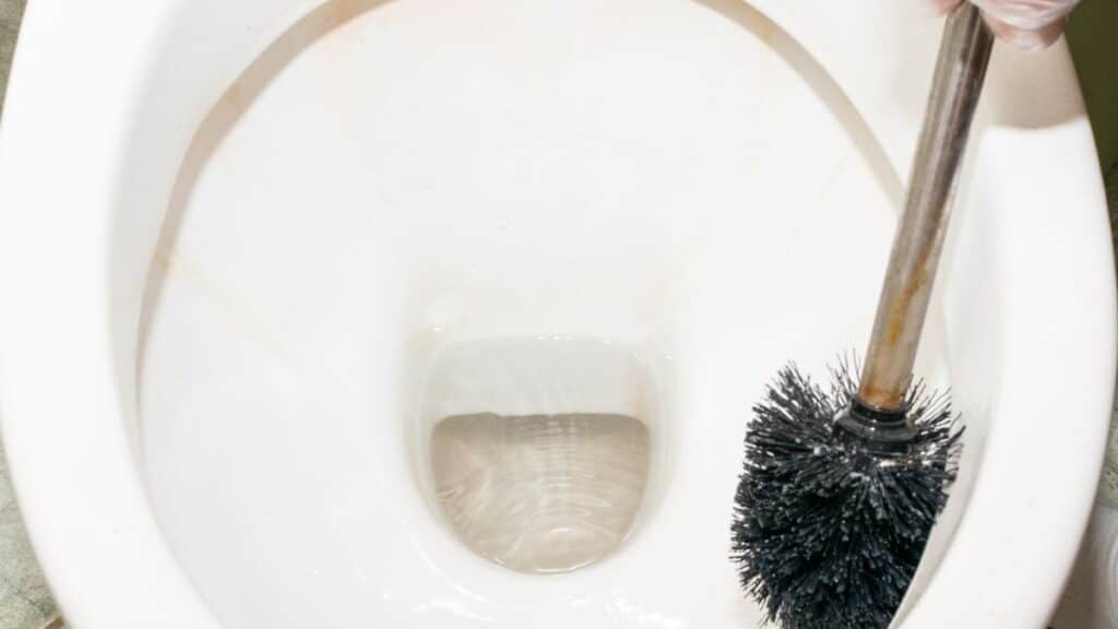 cleaning toilet rim holes to remove hard water buildup with brush