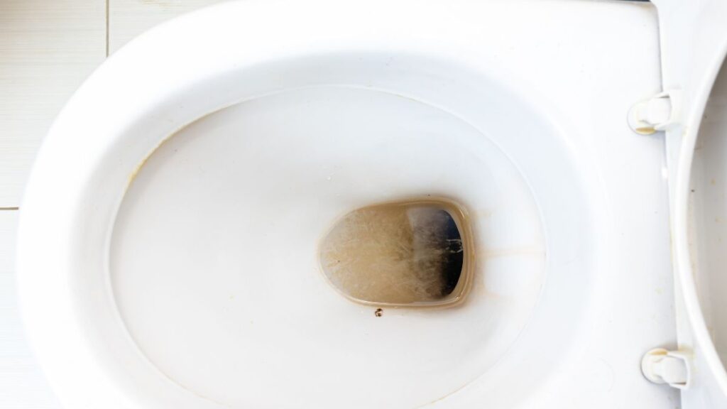 hard water stains ring inside toilet bowl