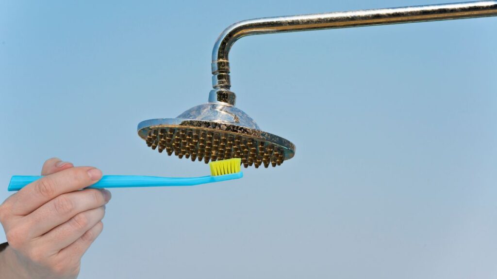 toothbrush scrubbing rubber spray nozzles on shower head after vinegar soak
