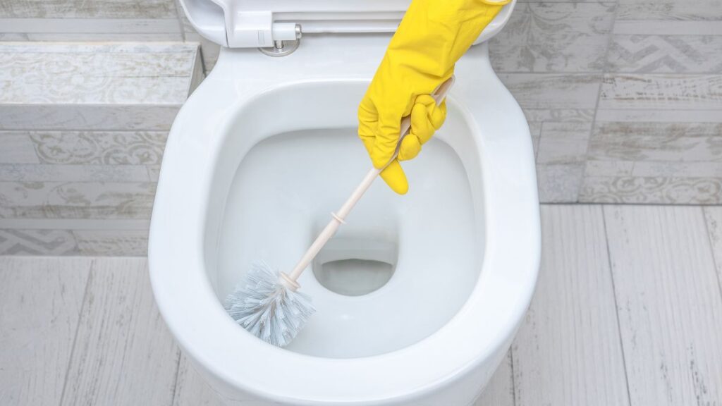 Using a toilet brush to scrub mineral stains at the waterline