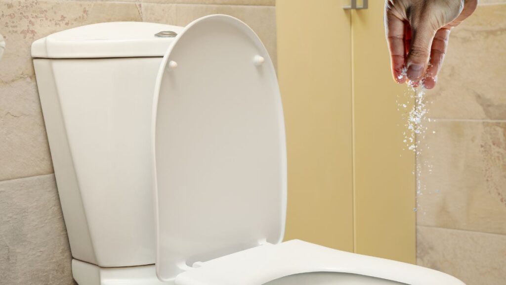 sprinkling baking soda around toilet bowl waterline for stain removal