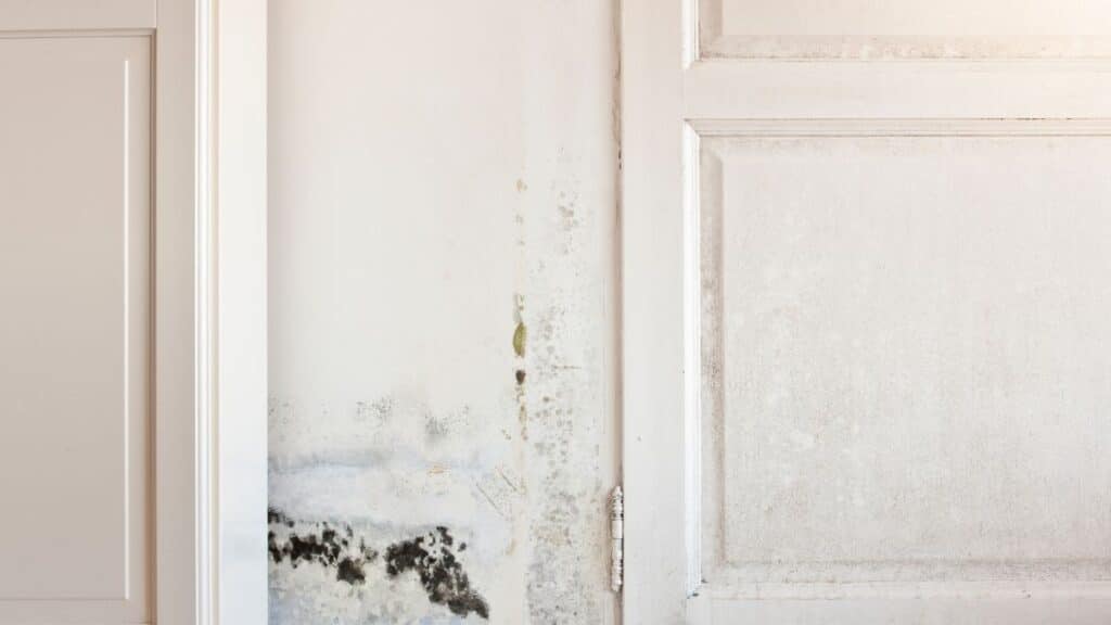 Close-up of sticky grease buildup on kitchen cabinet door near stove