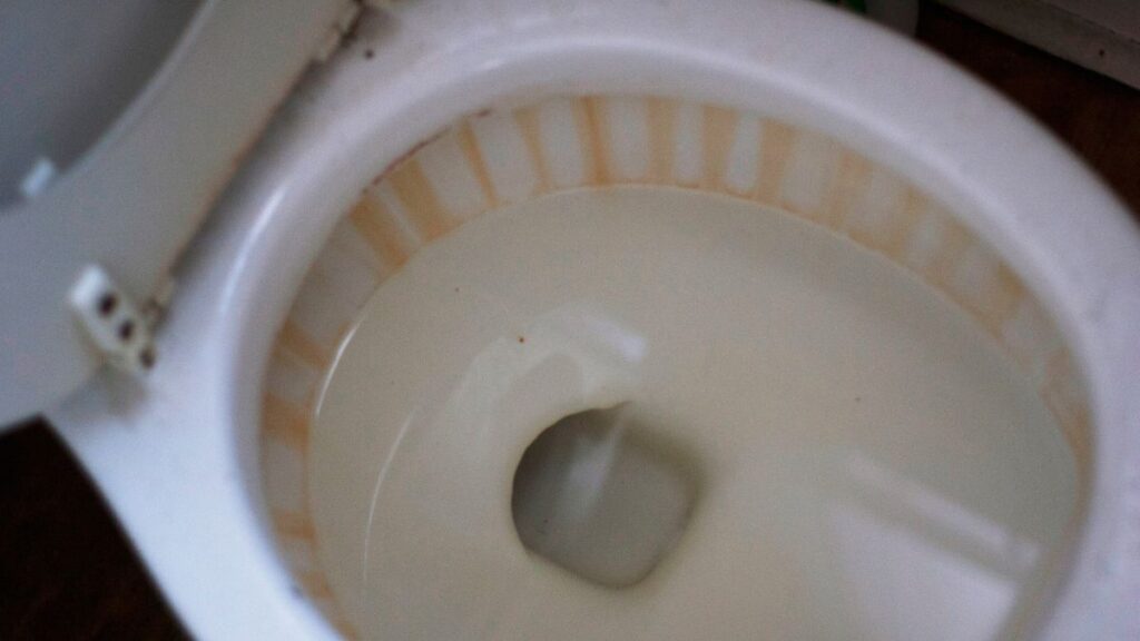 toilet bowl waterline stain close up before cleaning