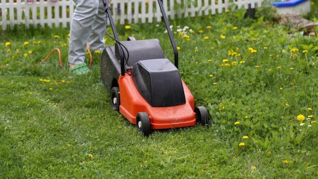 Lawn care tools including mower, string trimmer, rake, and fertilizer spreader