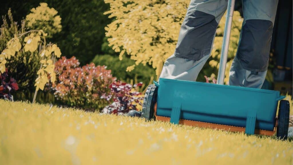 Lawn aeration machine removing soil plugs to relieve compaction