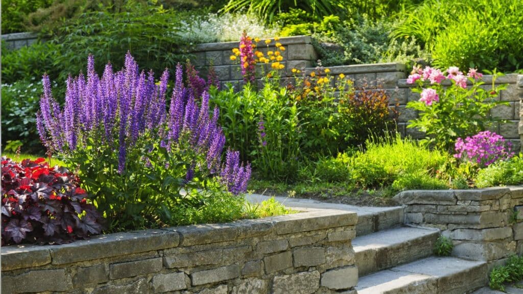 native plants for landscaping in a well-designed low maintenance front yard USA