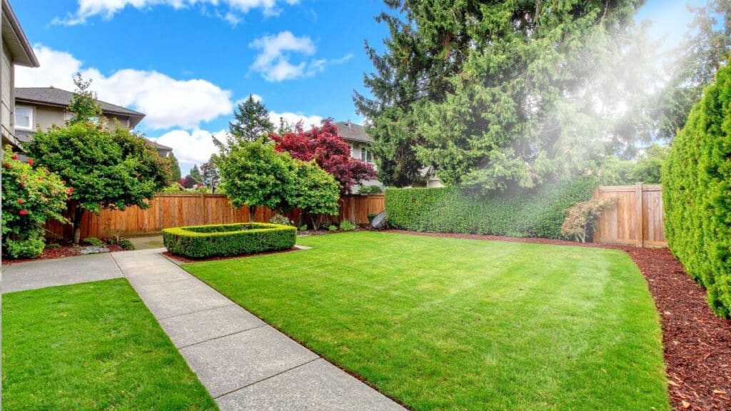 mapping sunlight exposure in backyard for landscaping planning